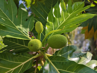 Similar image 22404765