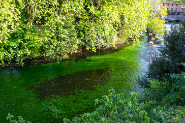 Similar image 22404410