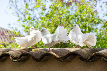 Similar image 22404433