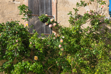 Similar image 22404441