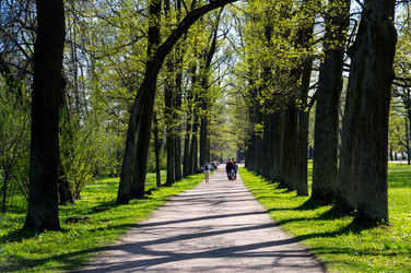 Similar image 22404446