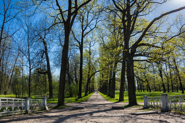 Similar image 22404463