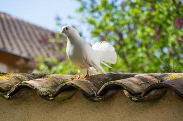 Similar image 22404465