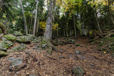 Similar image 22416435