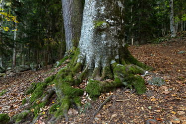 Similar image 22416436