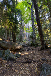 Similar image 22416437