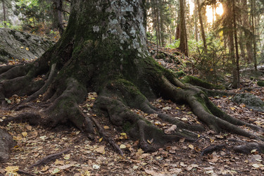 Similar image 22416438