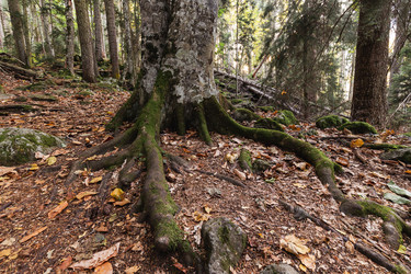 Similar image 22416439