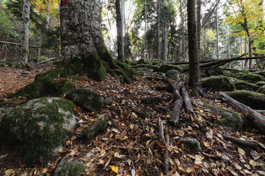 Similar image 22416440