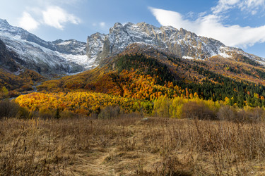 Similar image 22416441