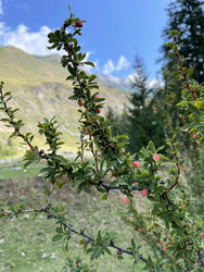 Similar image 22415376