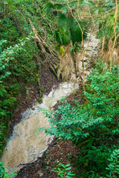 Similar image 22415475