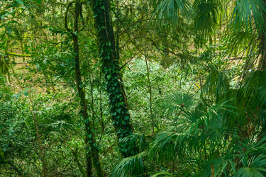 Similar image 22415476