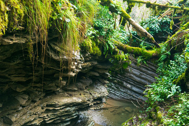 Similar image 22415477