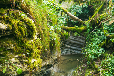 Similar image 22415479