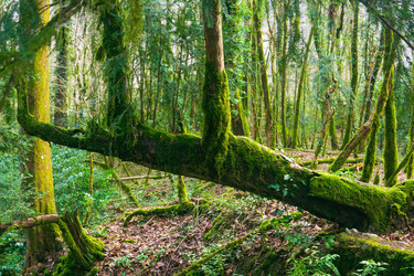 Similar image 22415482