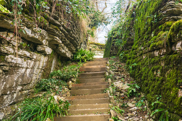 Similar image 22415483