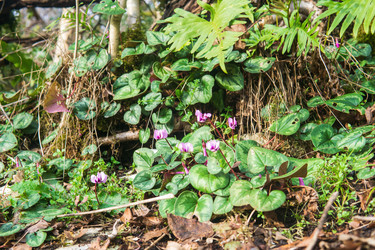 Similar image 22415484