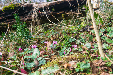 Similar image 22415485