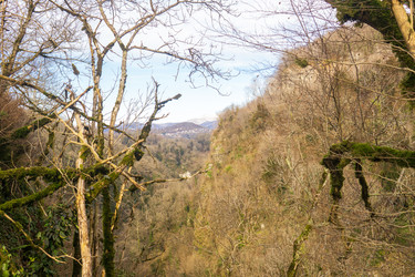 Similar image 22415486