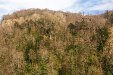 Similar image 22415488