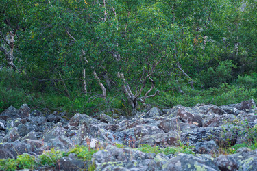 Similar image 22415489