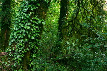 Similar image 22415492