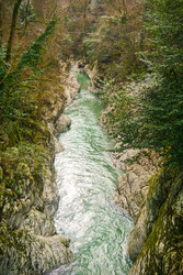 Similar image 22415494