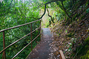 Similar image 22415495