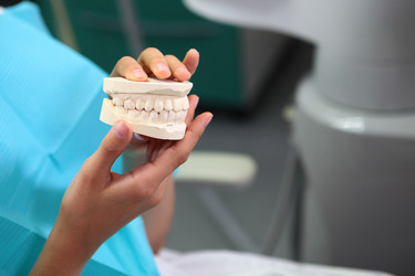 Similar image 22443104