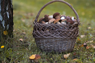 Similar image 22435581