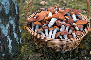 Similar image 22435584