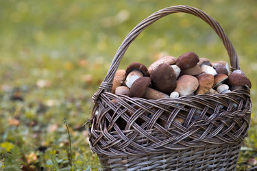 Similar image 22435585