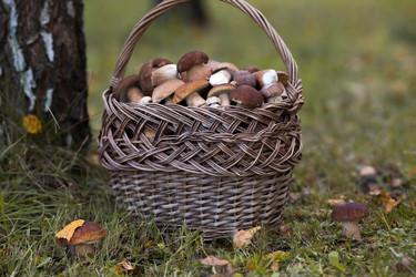 Similar image 22435586