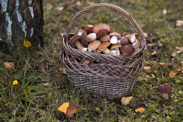 Similar image 22435587