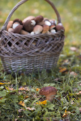 Similar image 22435588