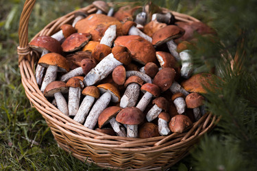 Similar image 22435589