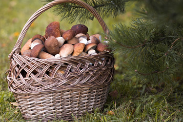 Similar image 22435590