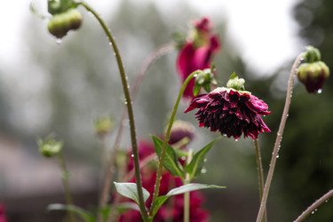 Similar image 22435592