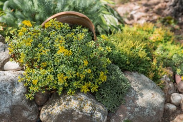 Similar image 22435593