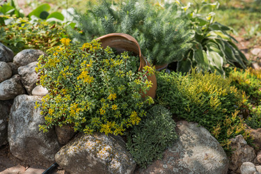 Similar image 22435594