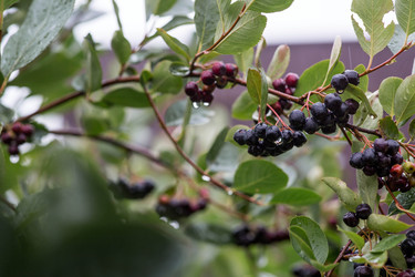 Similar image 22435595