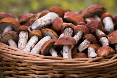 Similar image 22435596