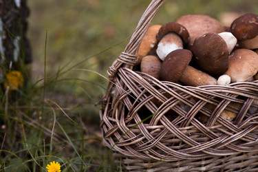 Similar image 22435597