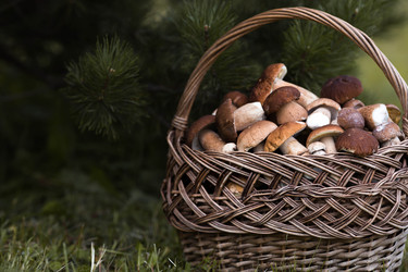 Similar image 22435598