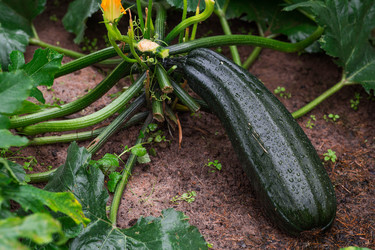 Similar image 22435600