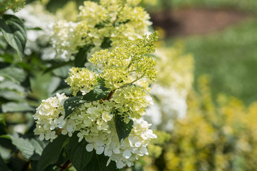 Similar image 22435601