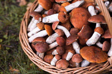 Similar image 22435602