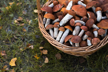 Similar image 22435603