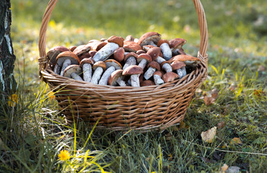 Similar image 22435604